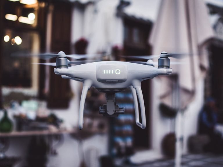 jason blackeye 2SPPbNbVQ3Y unsplash Pet Life Collective