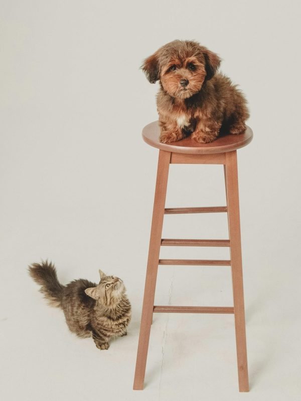 339724-17099644 339724-17099644